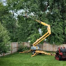 Best Organic Lawn Care Solutions  in Roebling, NJ