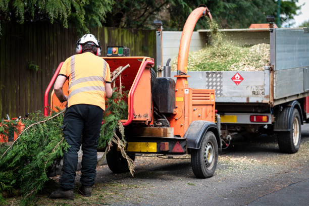 Best Weed Control  in Roebling, NJ