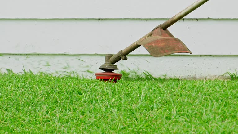 Best Utility Line Clearance  in Roebling, NJ