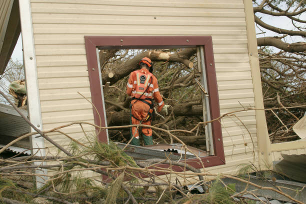Best Tree Preservation Services  in Roebling, NJ